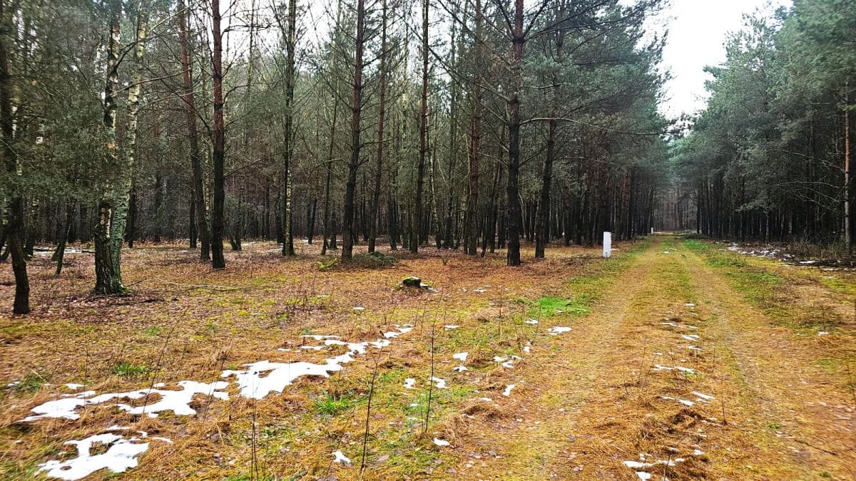 Działka  pokojowe na Sprzedaż