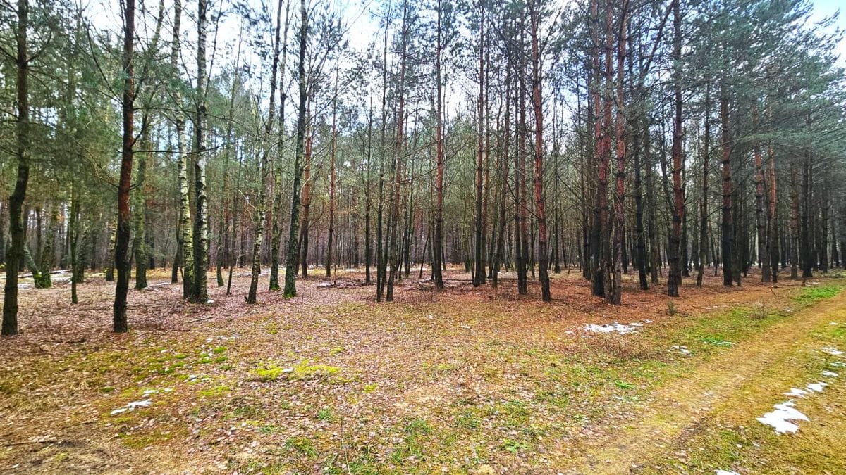 Działka  pokojowe na Sprzedaż