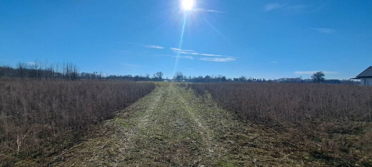 Działka  pokojowe na Sprzedaż