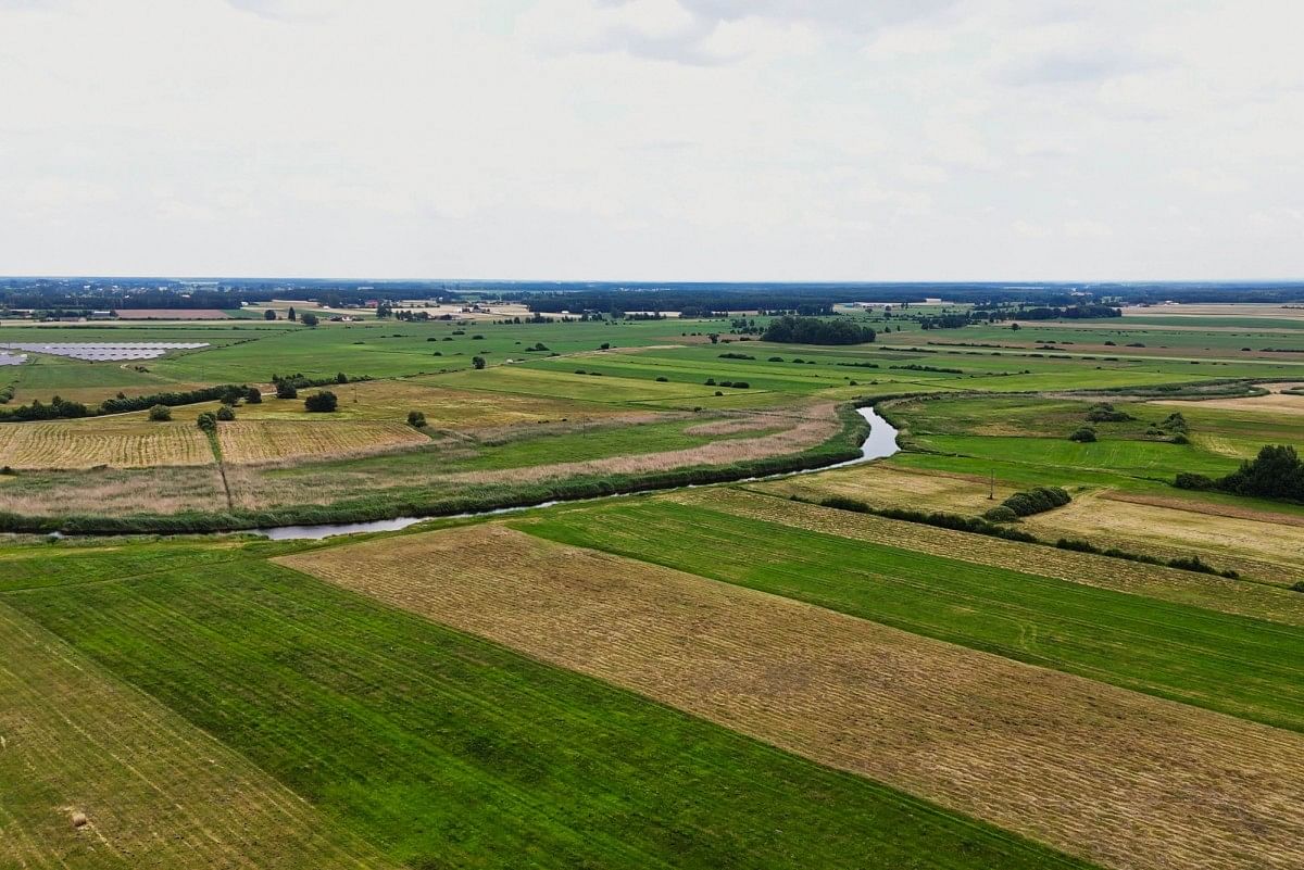 Lokal użytkowy  pokojowe na Sprzedaż