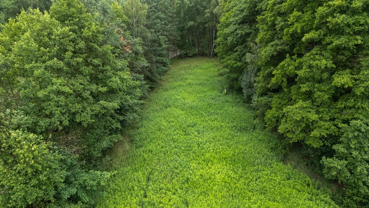 Działka  pokojowe na Sprzedaż