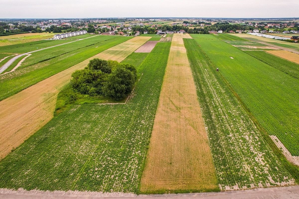 Działka  pokojowe na Sprzedaż