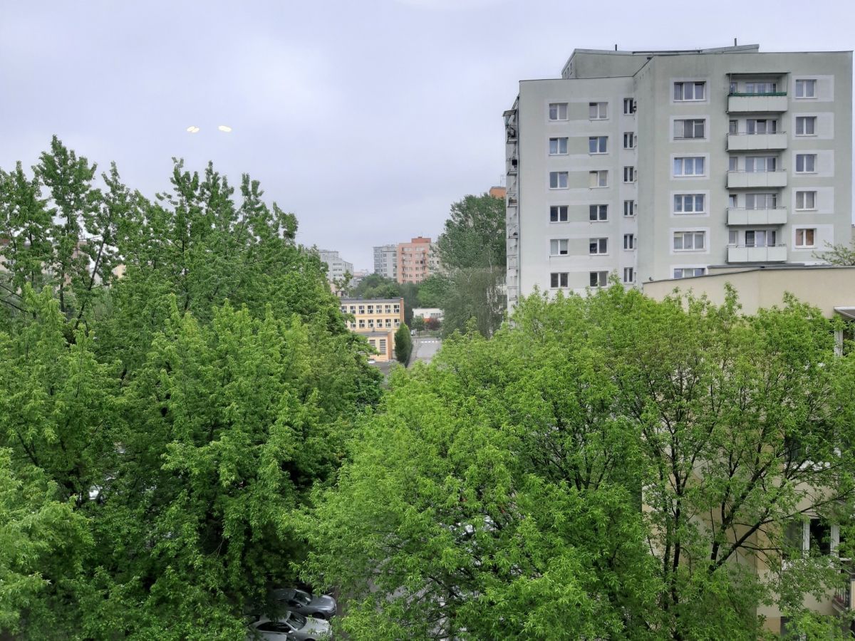 Mieszkanie 1 pokojowe na Wynajem