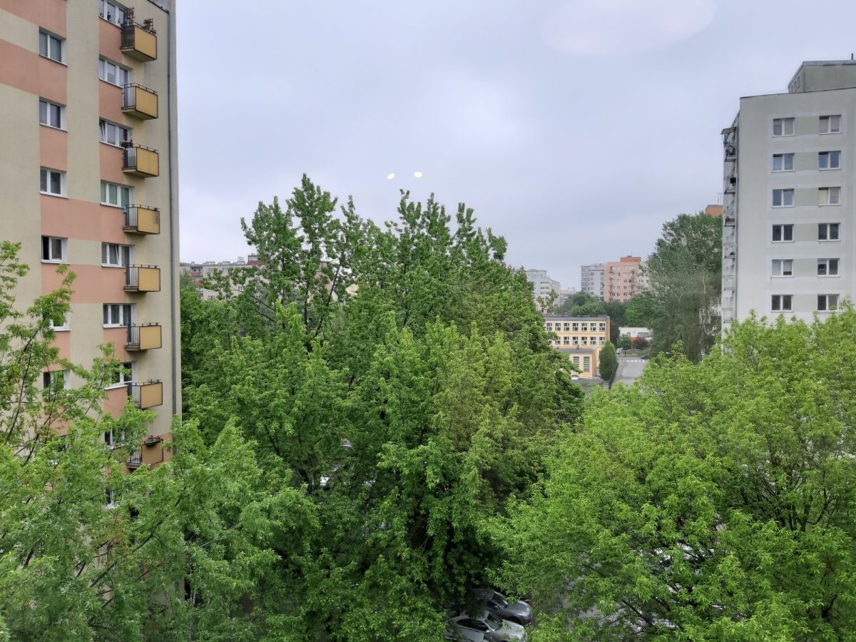 Mieszkanie 1 pokojowe na Wynajem
