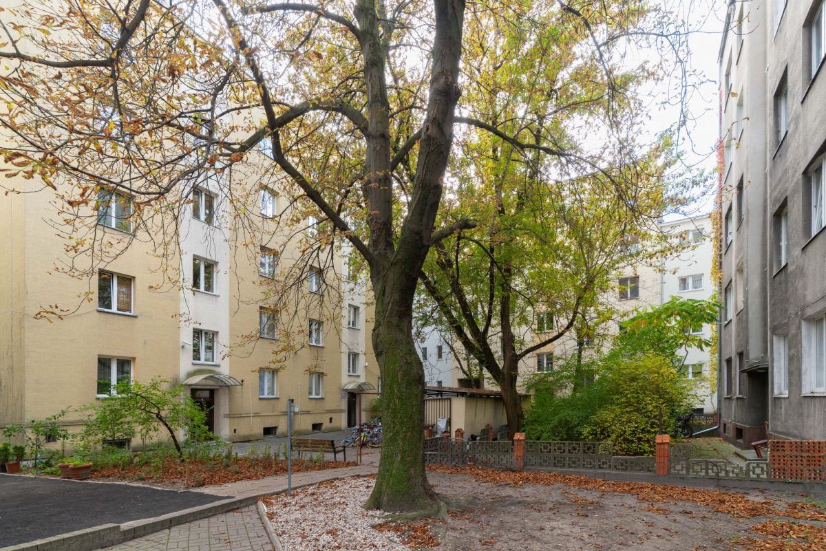 Mieszkanie 3 pokojowe na Sprzedaż