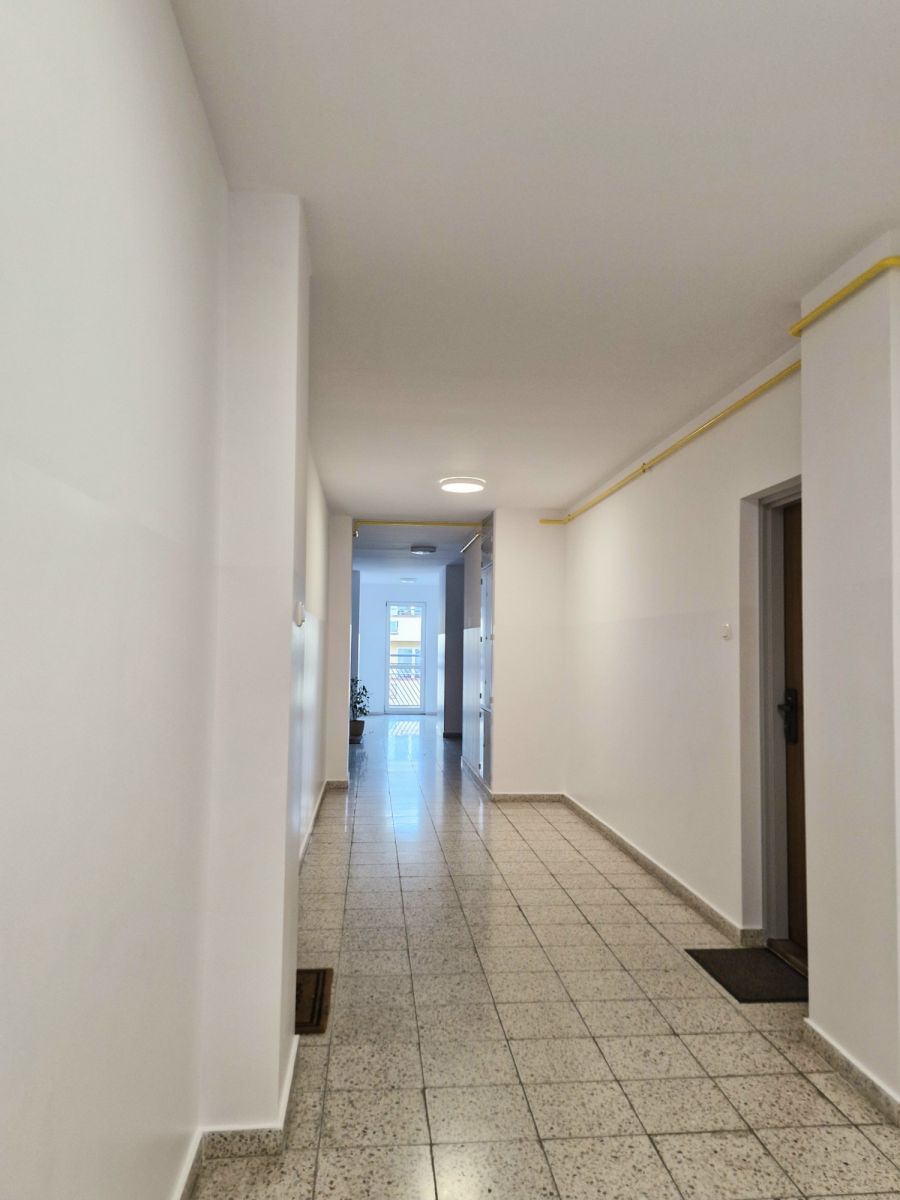 Mieszkanie 2 pokojowe na Wynajem