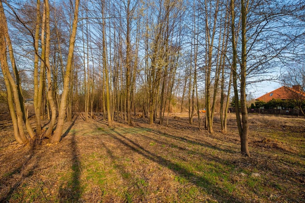 Działka  pokojowe na Sprzedaż