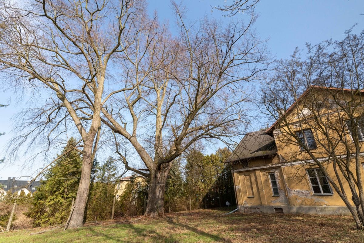 Dom 10 pokojowe na Sprzedaż