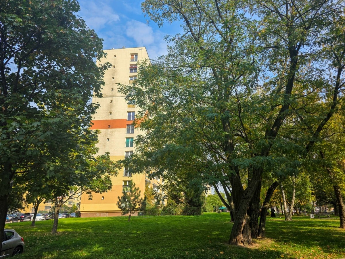 Mieszkanie 3 pokojowe na Wynajem