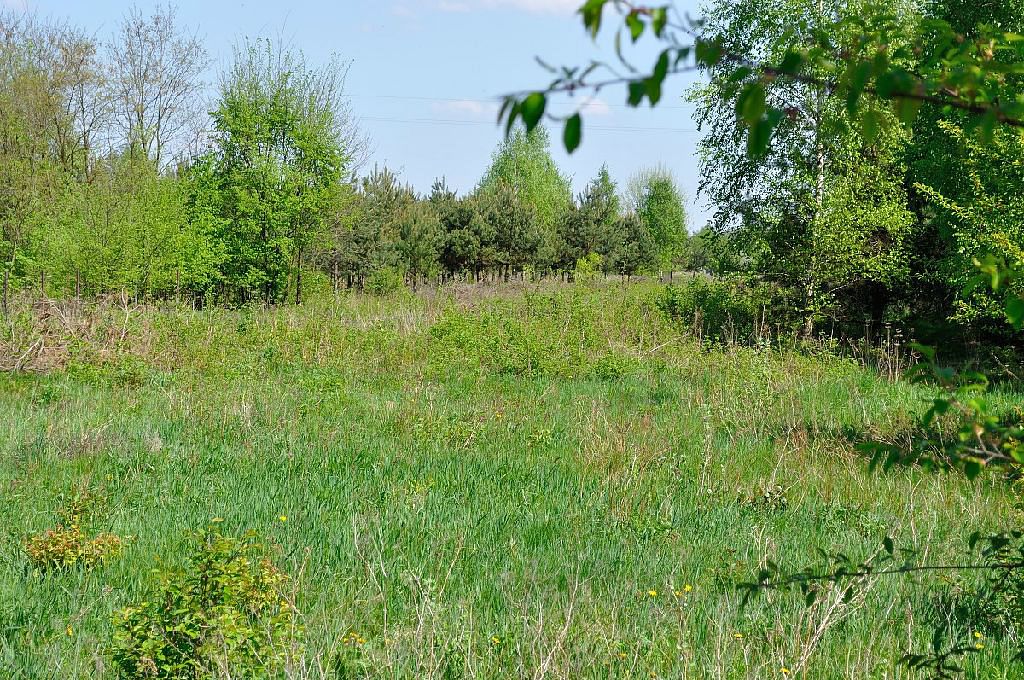 Działka  pokojowe na Sprzedaż