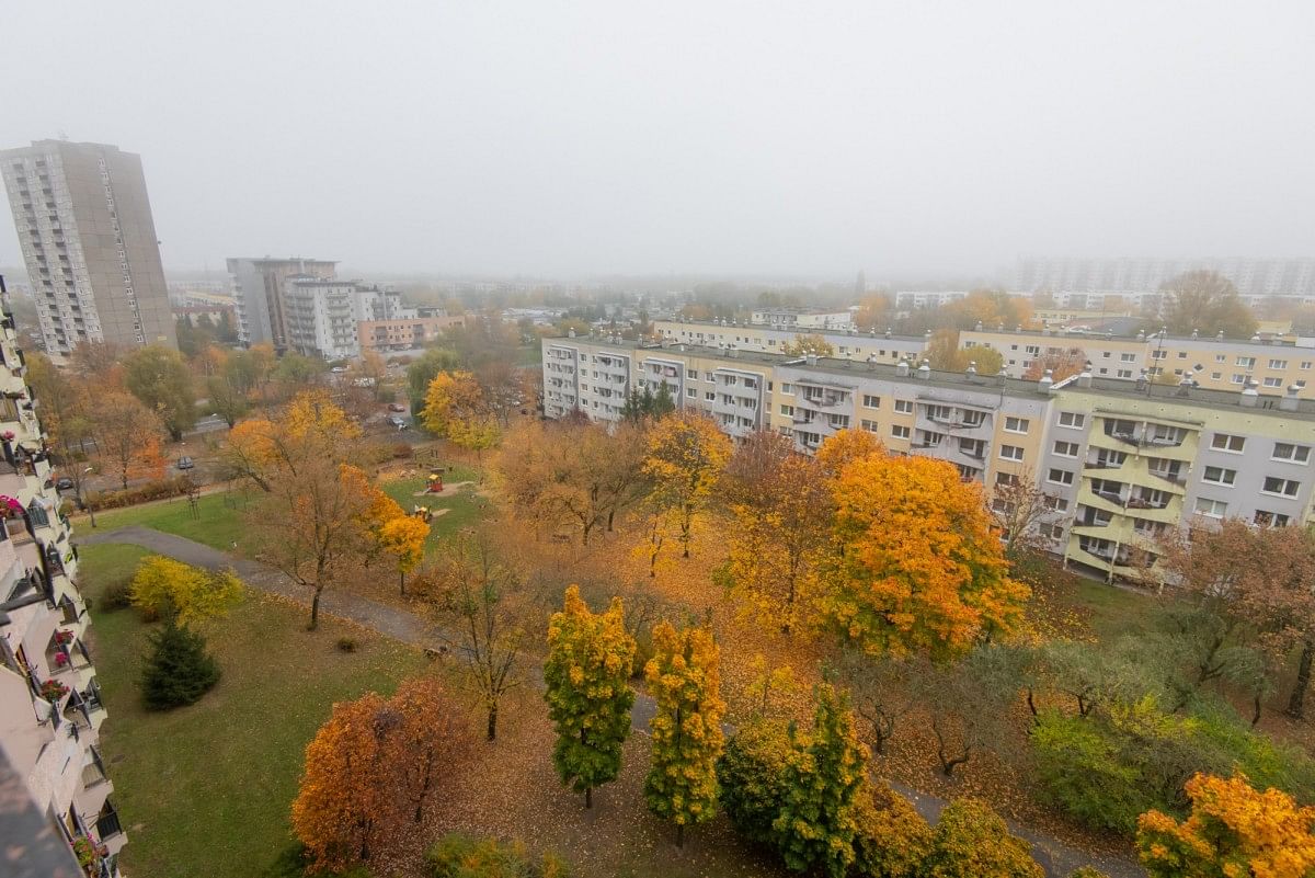 Mieszkanie 3 pokojowe na Wynajem