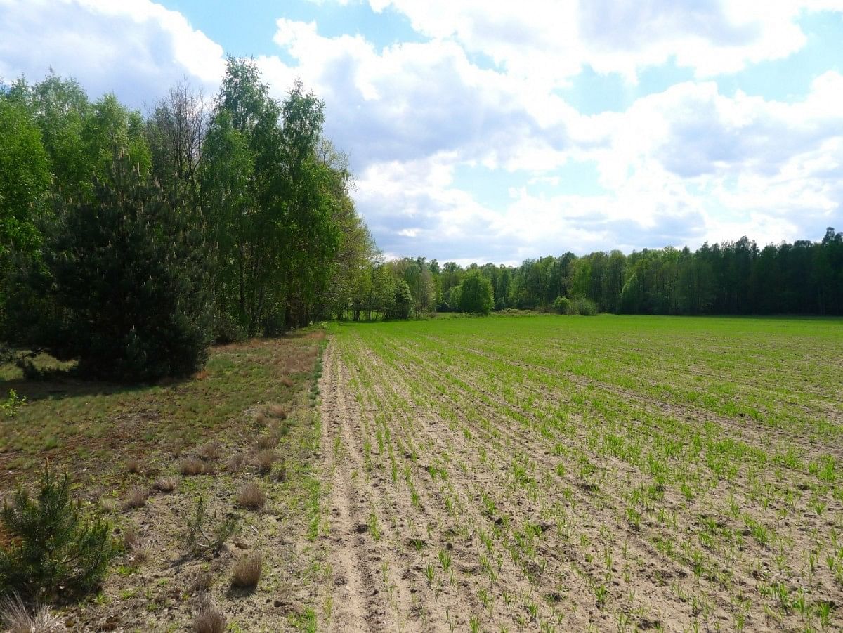 Działka  pokojowe na Sprzedaż