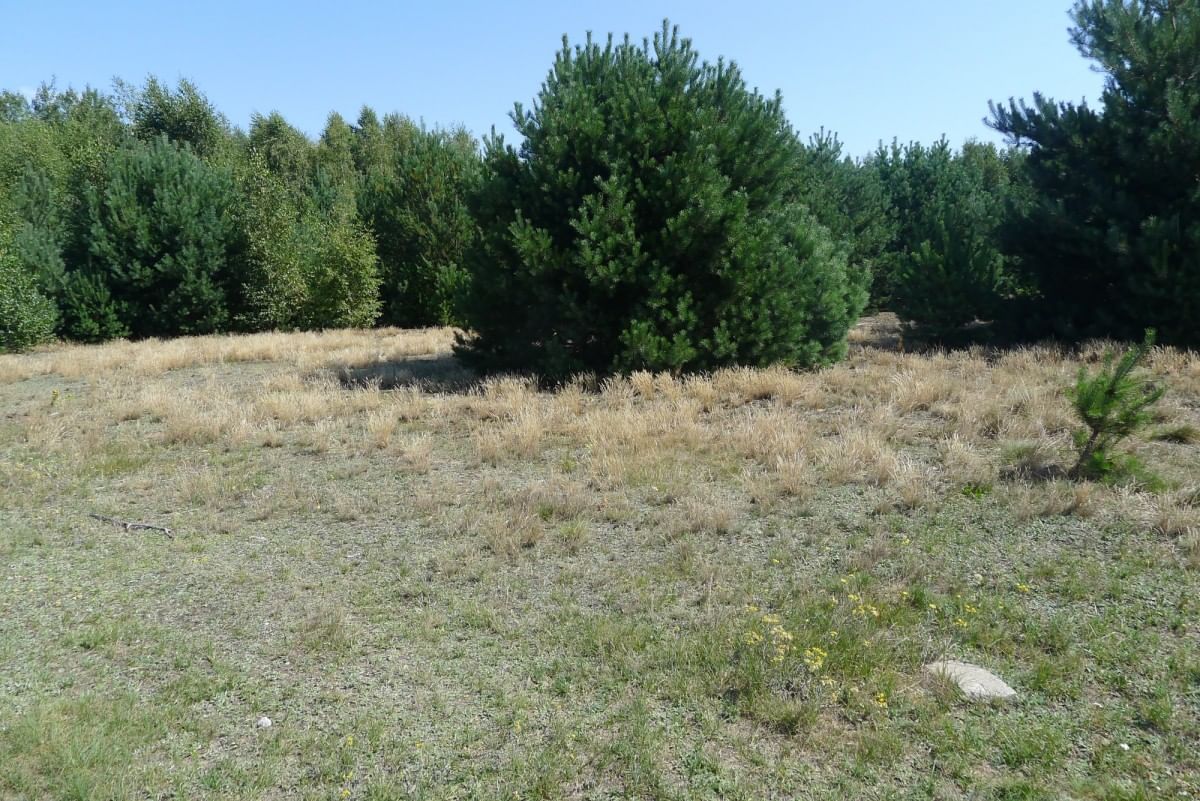 Działka  pokojowe na Sprzedaż