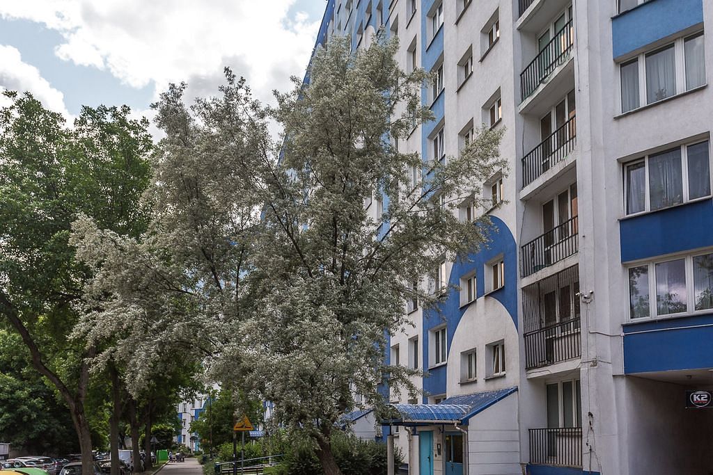 Mieszkanie 1 pokojowe na Sprzedaż