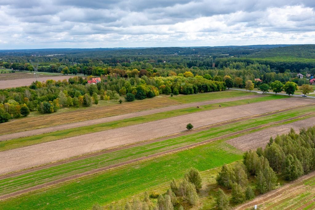 Działka  pokojowe na Sprzedaż