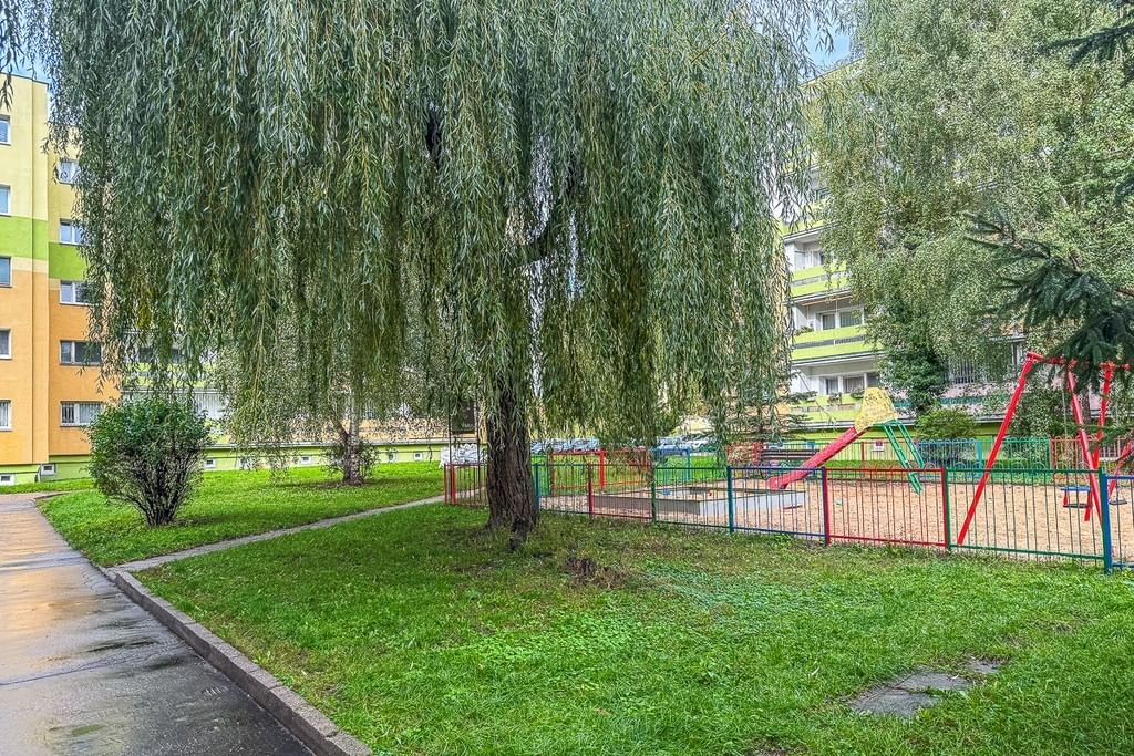 Mieszkanie 3 pokojowe na Wynajem