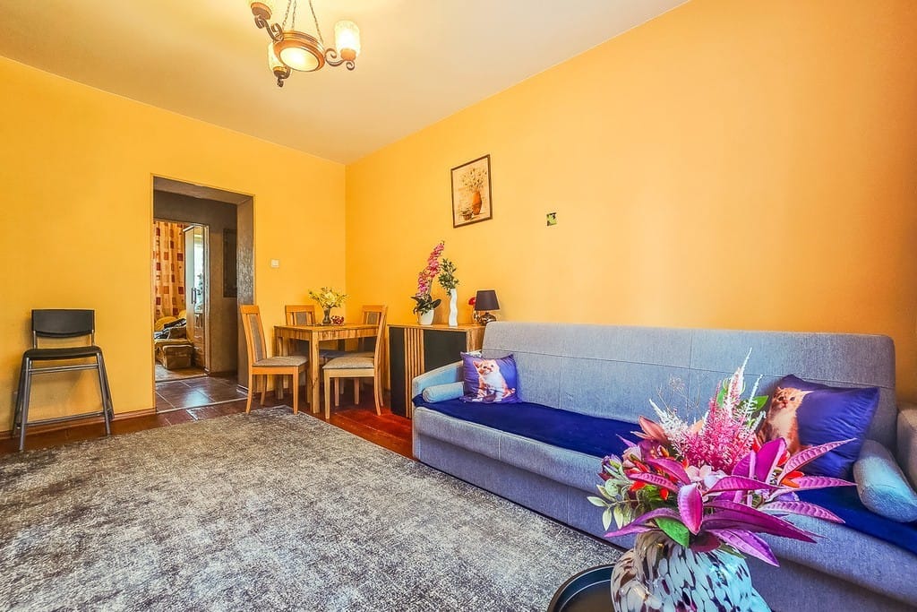 Mieszkanie 1 pokojowe na Sprzedaż