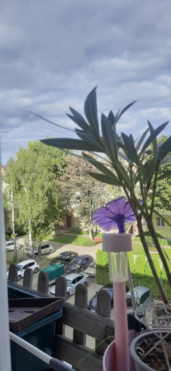 Mieszkanie 1 pokojowe na Wynajem