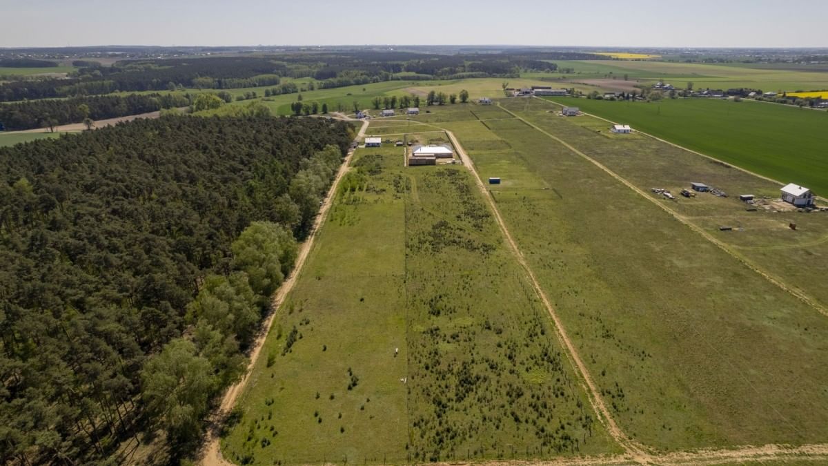 Działka  pokojowe na Sprzedaż