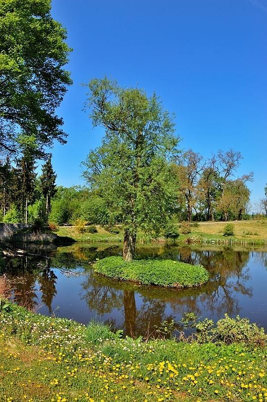 Lokal użytkowy  pokojowe na Sprzedaż