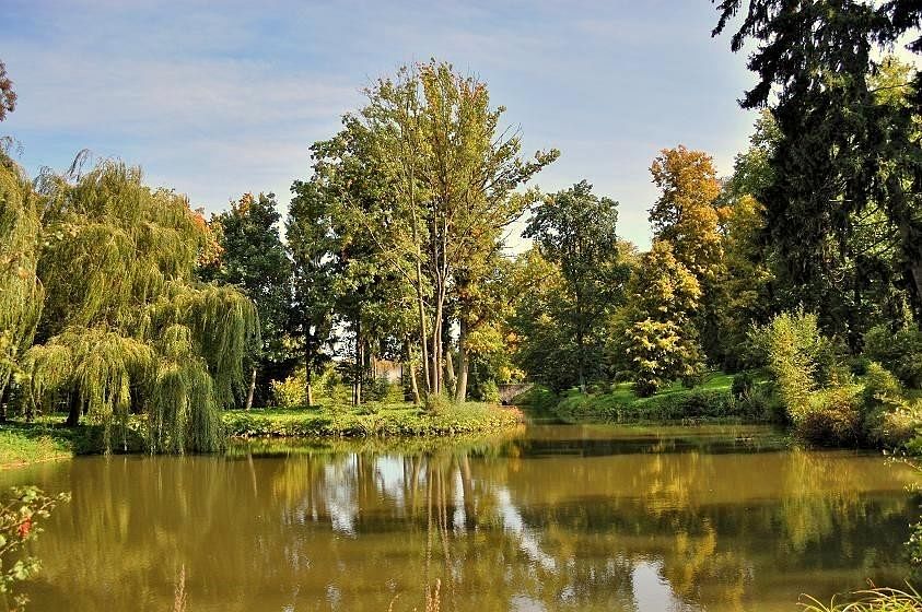 Lokal użytkowy  pokojowe na Sprzedaż