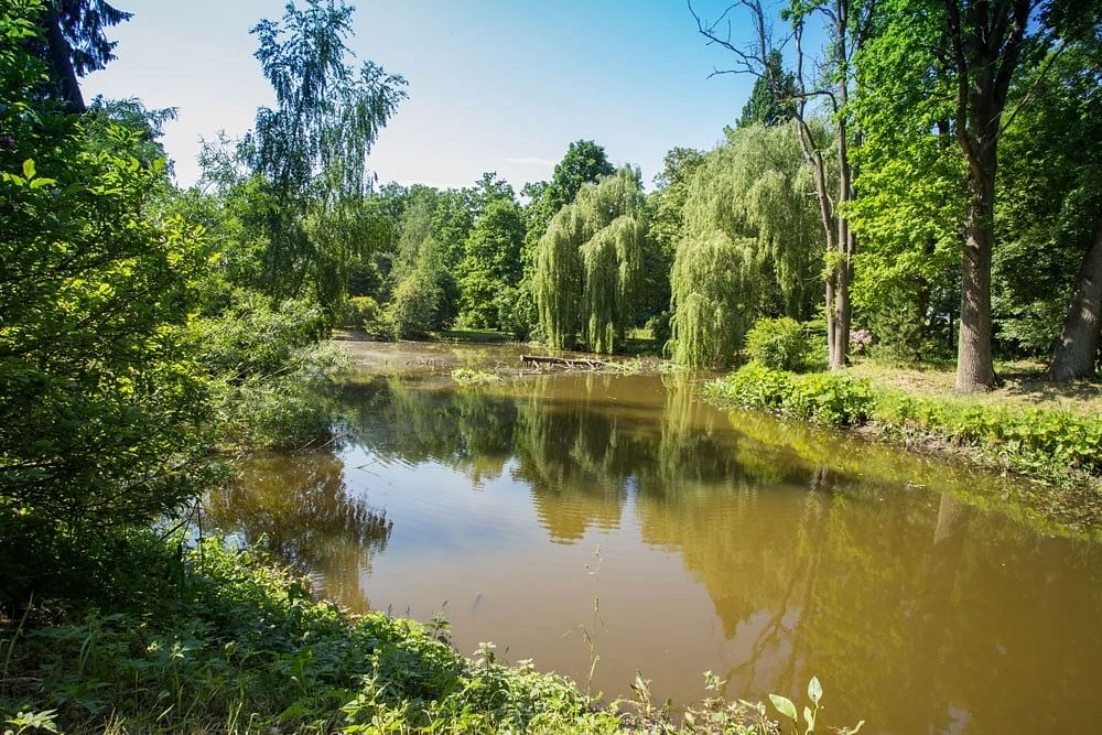 Lokal użytkowy  pokojowe na Sprzedaż