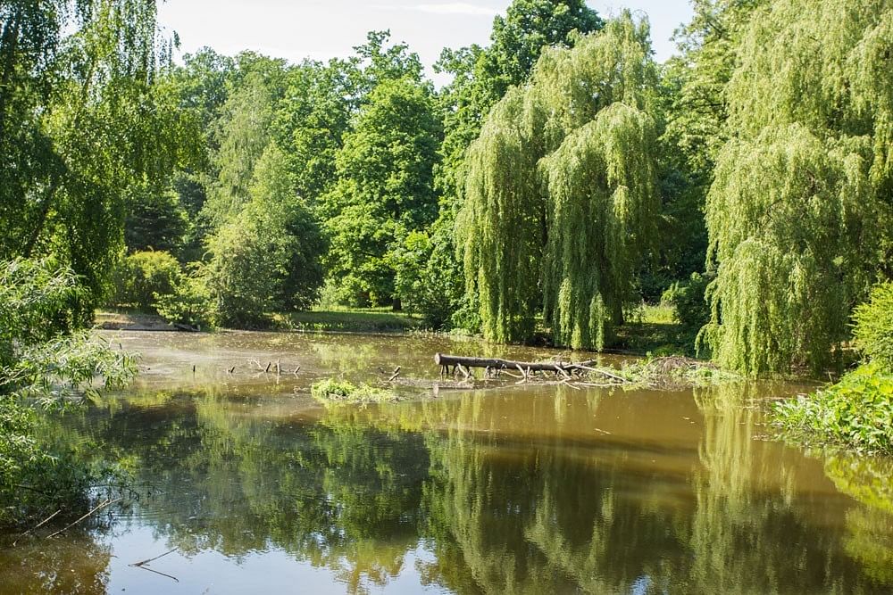 Lokal użytkowy  pokojowe na Sprzedaż