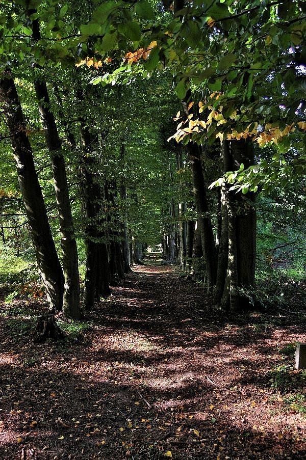 Lokal użytkowy  pokojowe na Sprzedaż