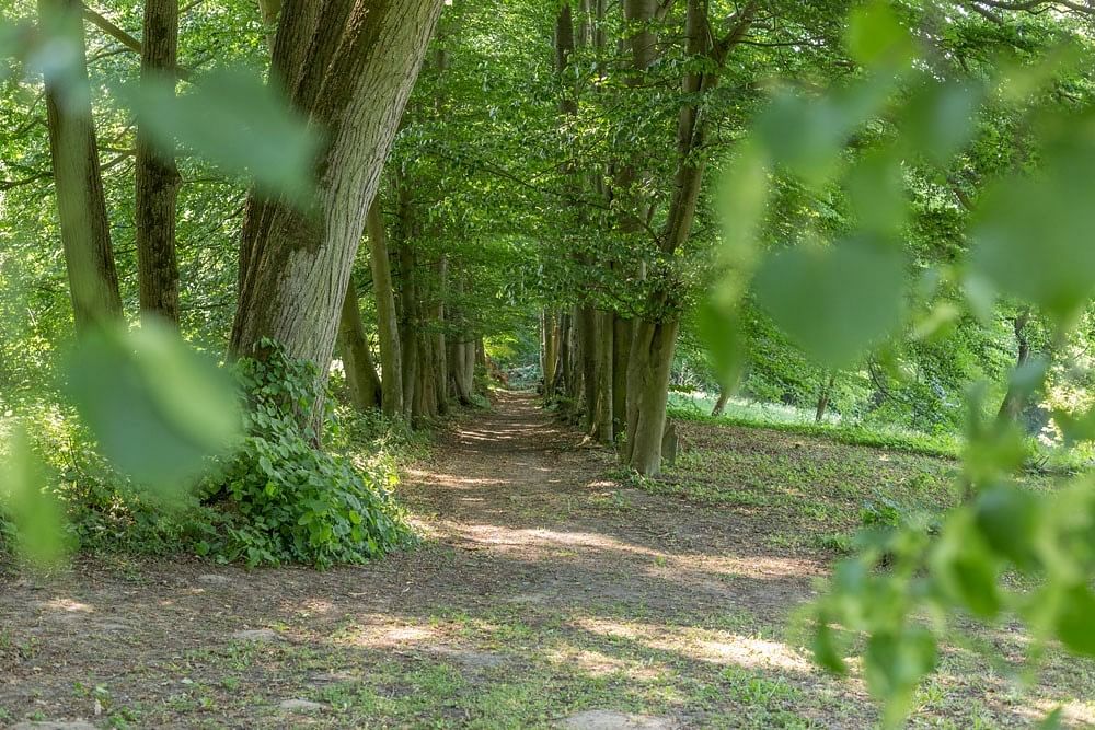 Lokal użytkowy  pokojowe na Sprzedaż