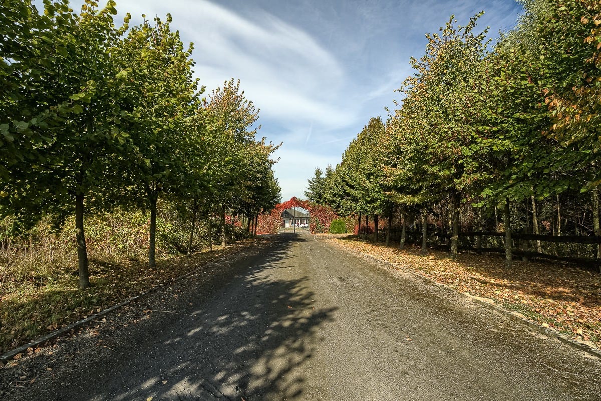 Dom 4 pokojowe na Sprzedaż