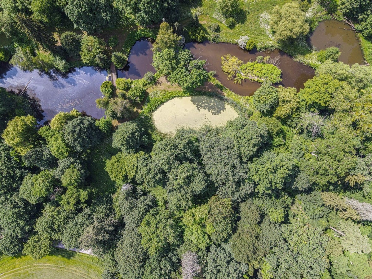 Lokal użytkowy  pokojowe na Sprzedaż