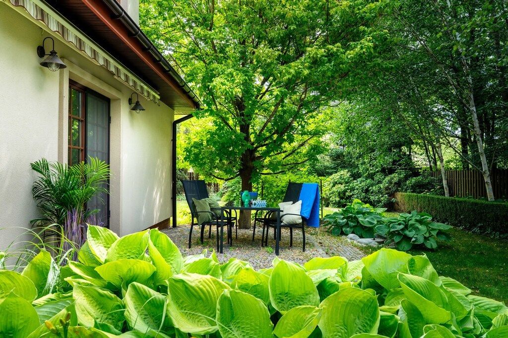 Dom 6 pokojowe na Sprzedaż