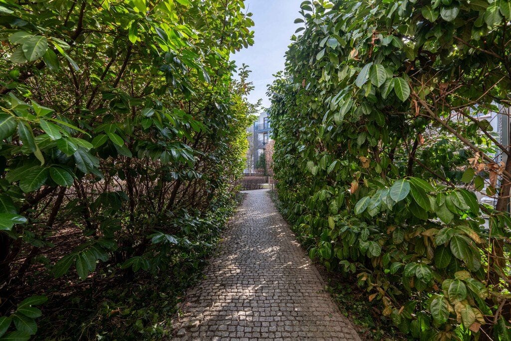 Mieszkanie 3 pokojowe na Wynajem