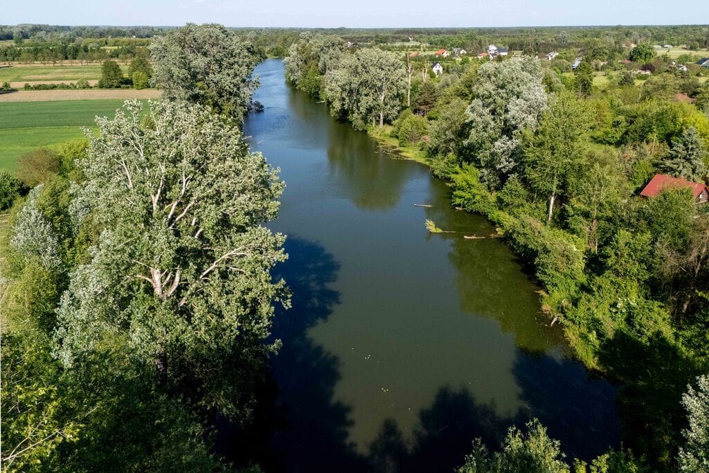 Dom 6 pokojowe na Sprzedaż