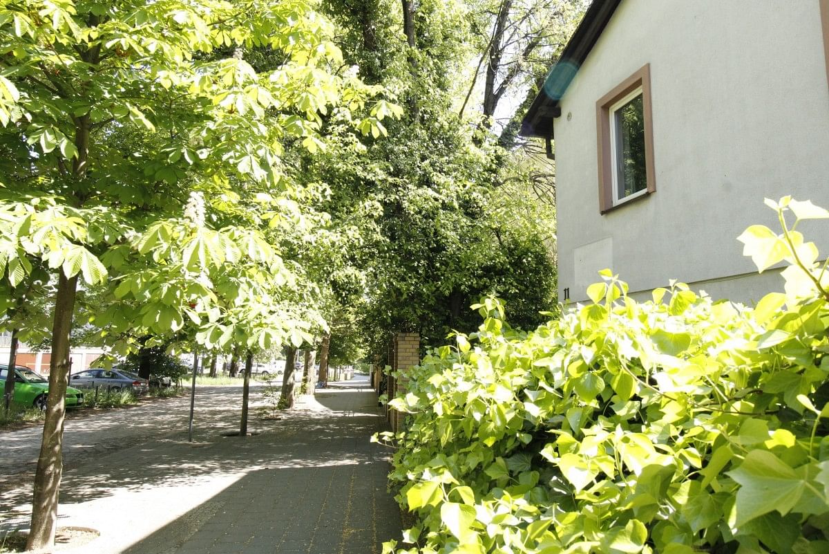 Mieszkanie 1 pokojowe na Sprzedaż