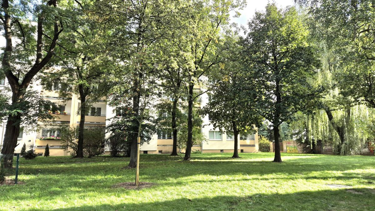Mieszkanie 2 pokojowe na Sprzedaż