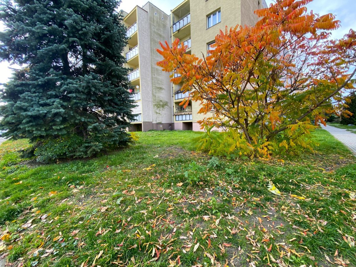 Mieszkanie 3 pokojowe na Sprzedaż