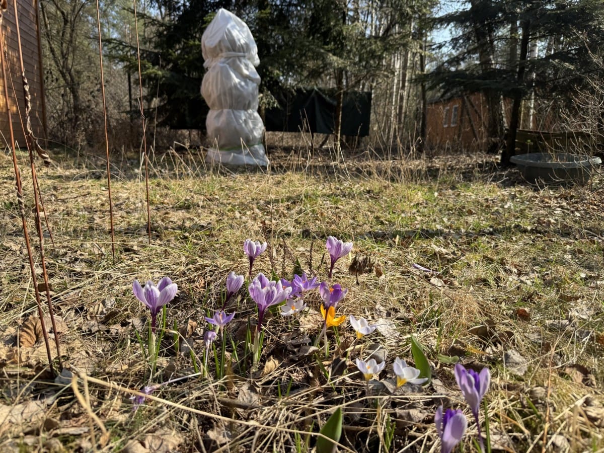 Dom 2 pokojowe na Sprzedaż