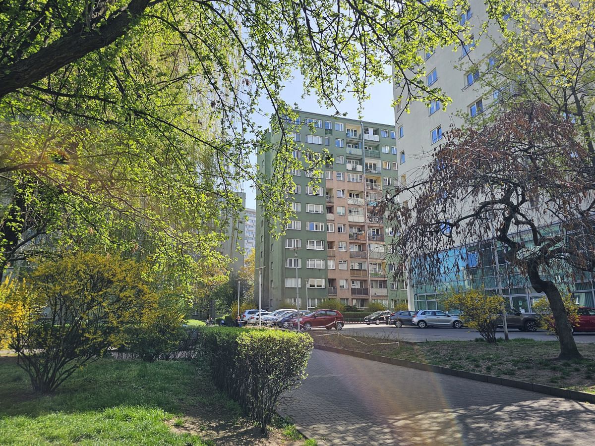 Mieszkanie 3 pokojowe na Wynajem