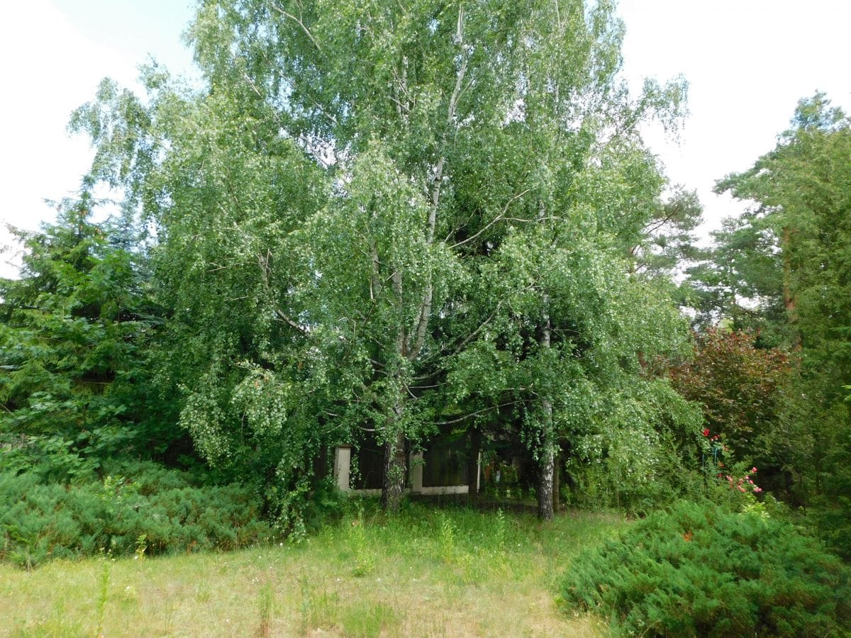 Dom 5 pokojowe na Sprzedaż