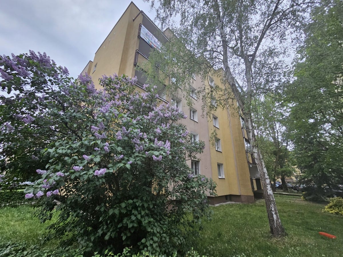 Mieszkanie 3 pokojowe na Sprzedaż