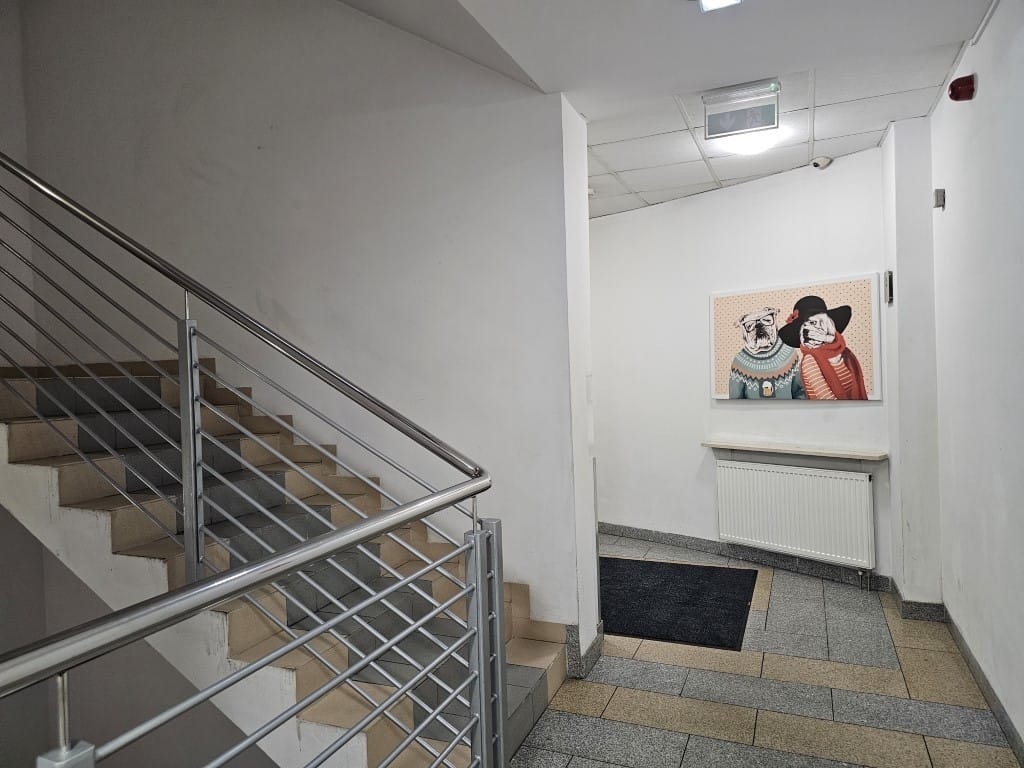 Mieszkanie 2 pokojowe na Wynajem