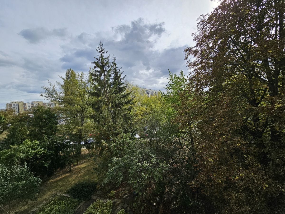 Mieszkanie 3 pokojowe na Wynajem