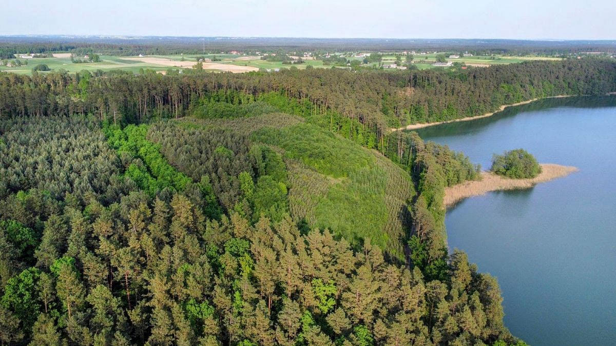 Dom 4 pokojowe na Sprzedaż