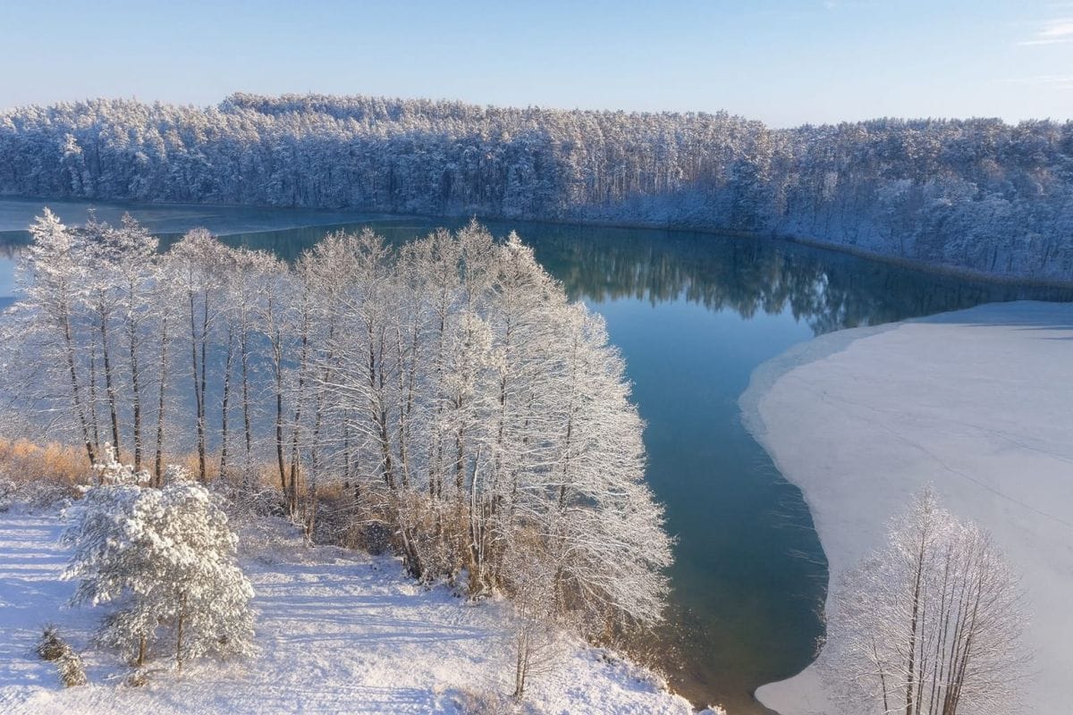 Dom 4 pokojowe na Sprzedaż