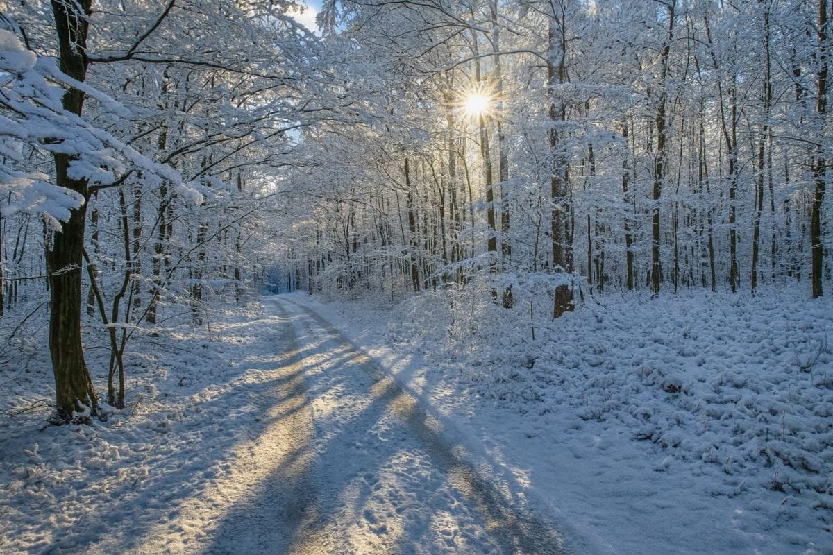 Dom 4 pokojowe na Sprzedaż