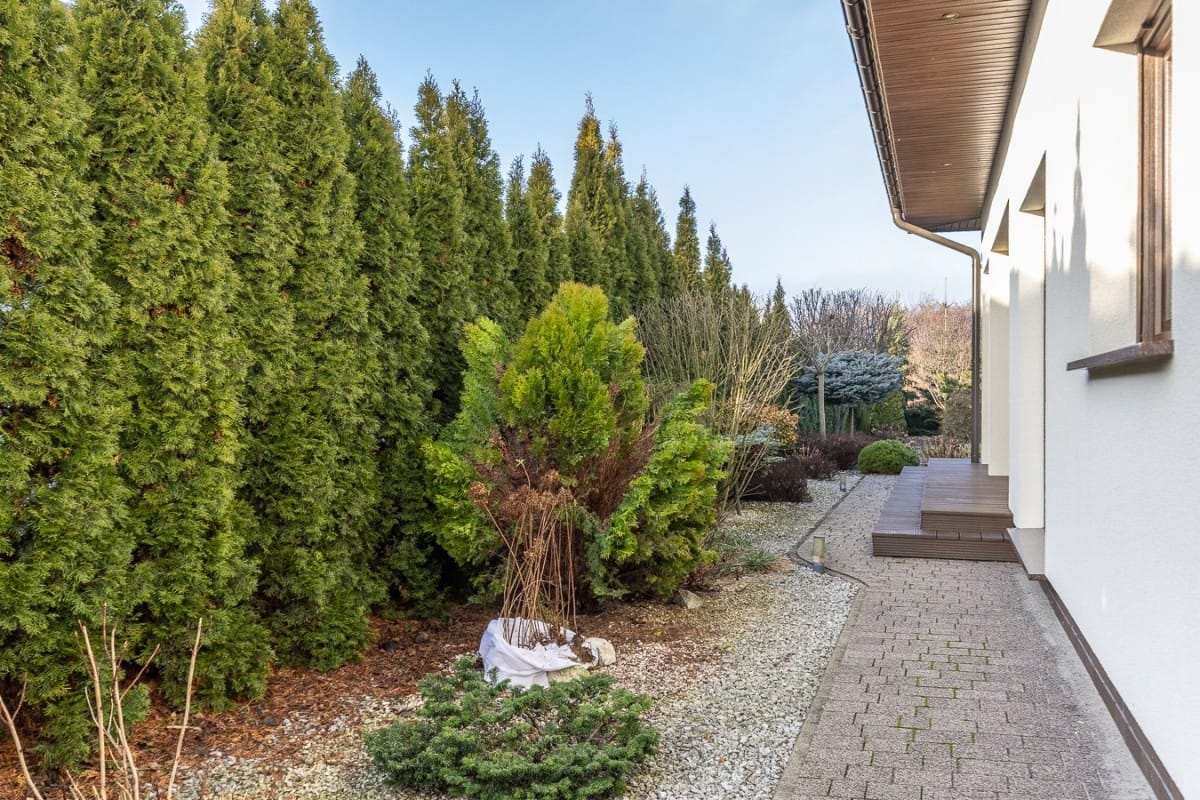 Dom 6 pokojowe na Sprzedaż