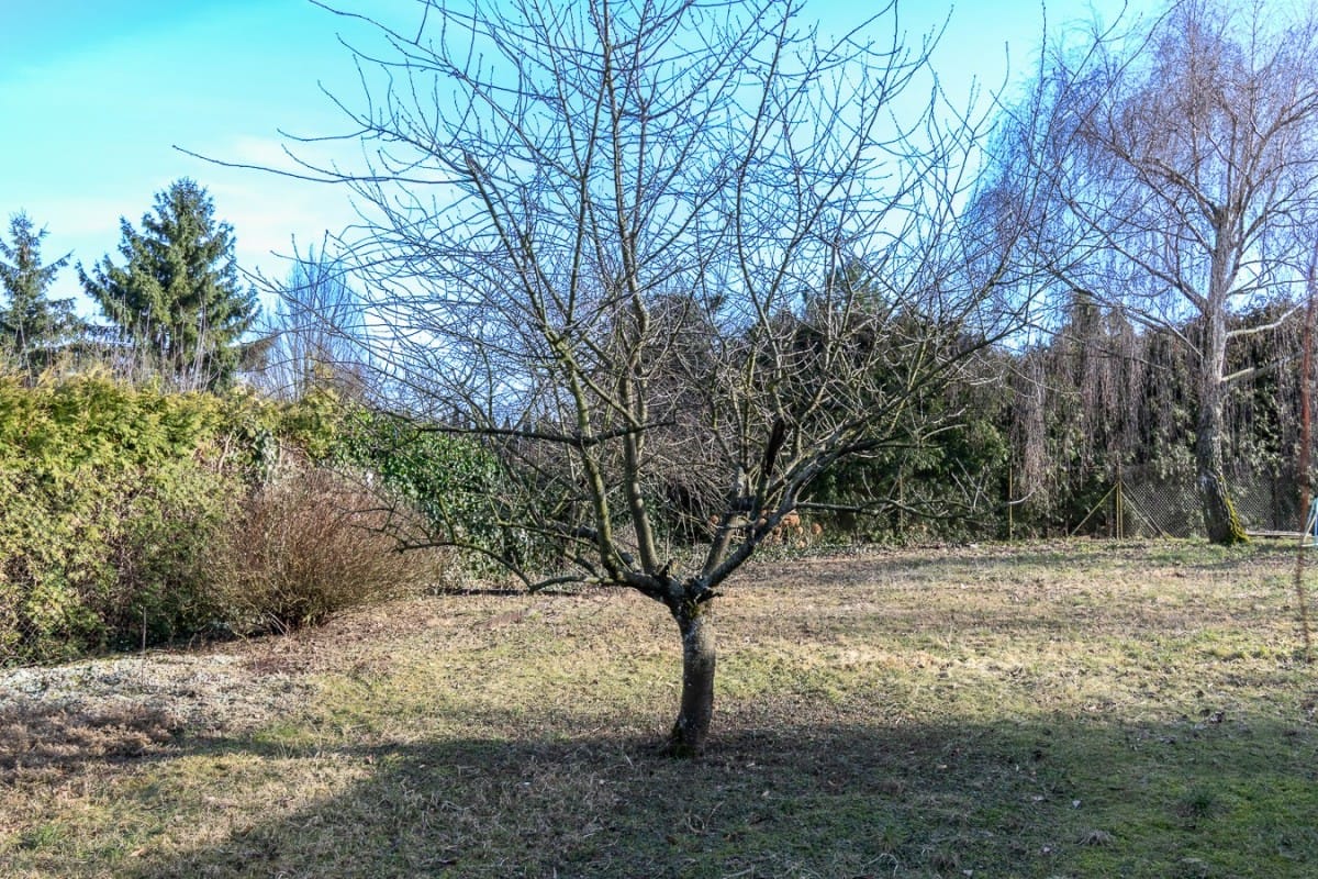 Dom 3 pokojowe na Sprzedaż