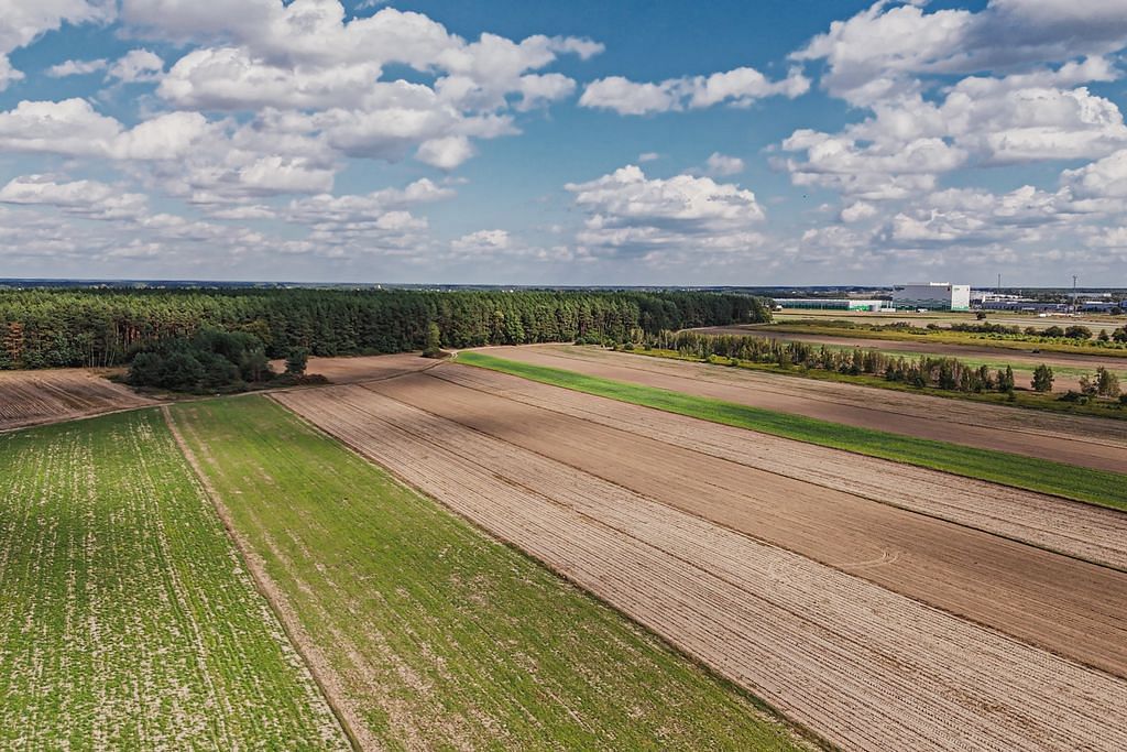 Działka  pokojowe na Sprzedaż