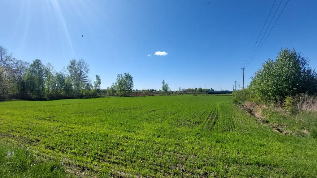 Działka  pokojowe na Wynajem